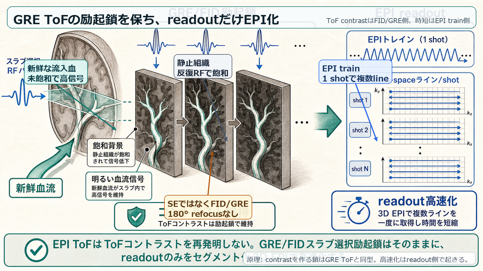 GRE ToFの励起鎖とEPI readoutの関係
